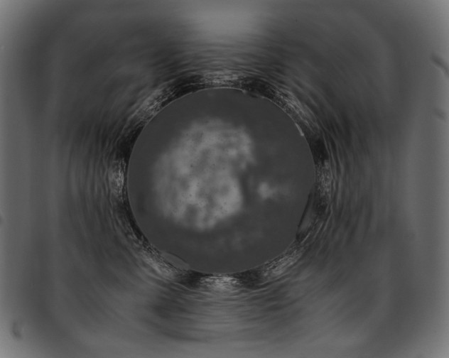 X0000095540427200712141529