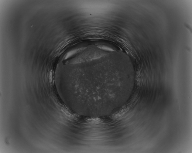 X0000095540428200712141529