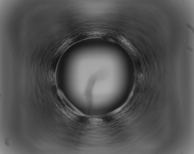 X0000095540429200712141529