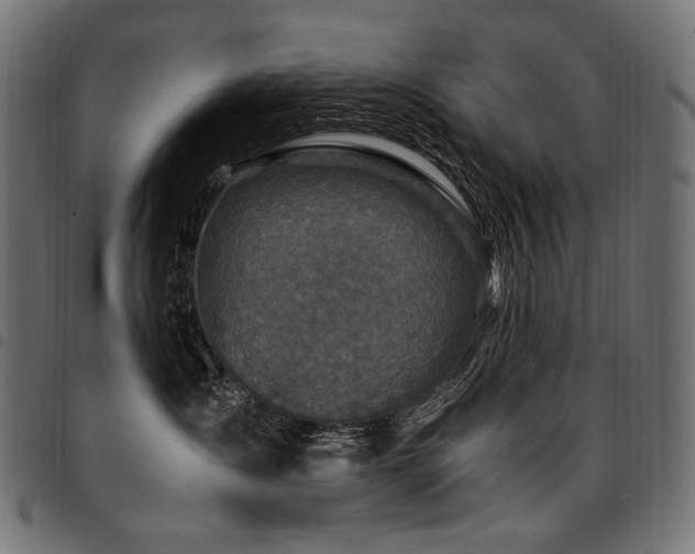 X0000095540431200712141529