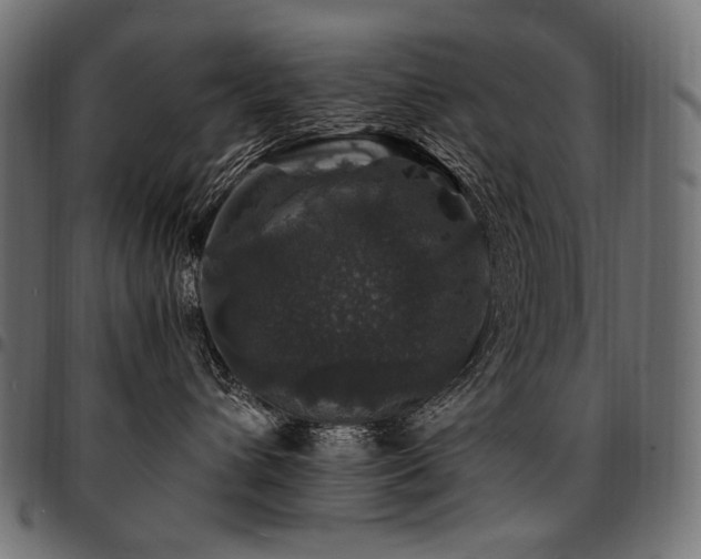 X0000095540432200712141529