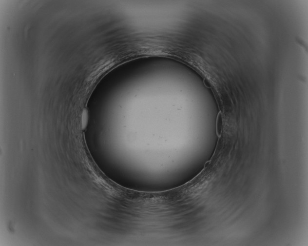 X0000095540433200712141528