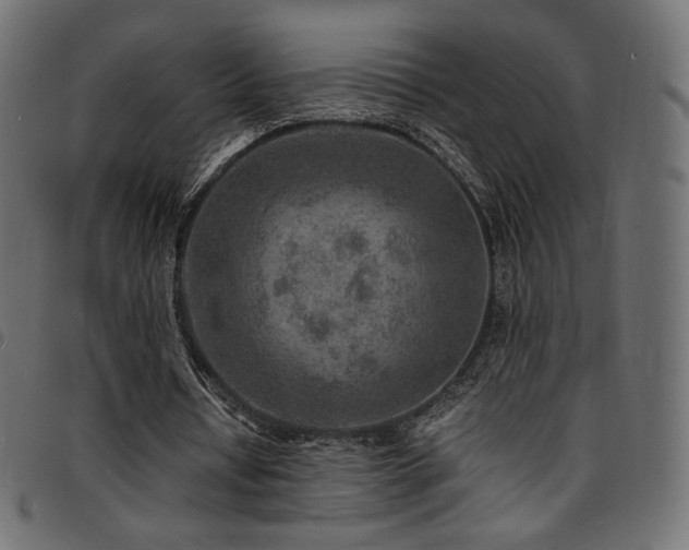 X0000095540434200712141528