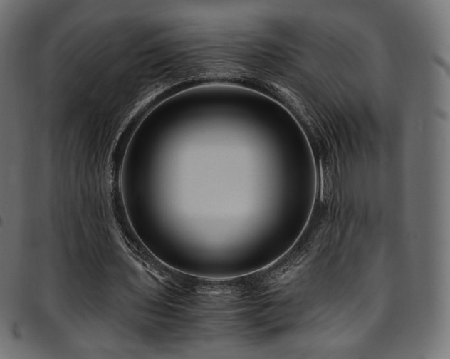 X0000095540435200712141528