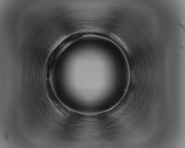 X0000095540436200712141528