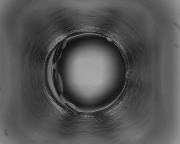 X0000095540437200712141528