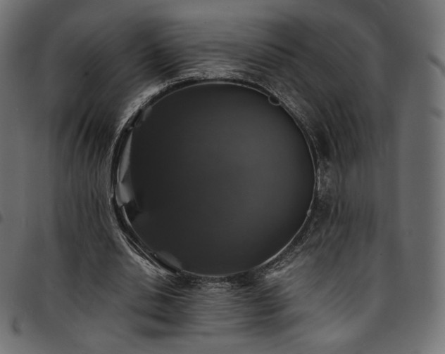 X0000095540438200712141528