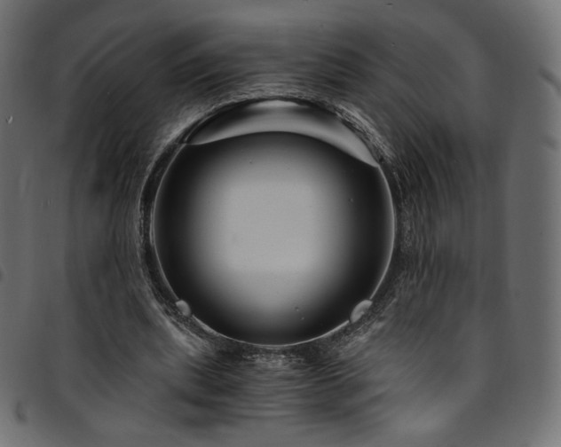 X0000095540439200712141528