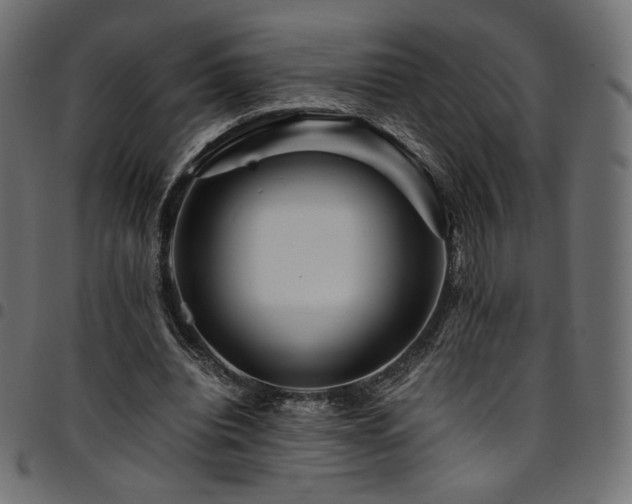 X0000095540440200712141528