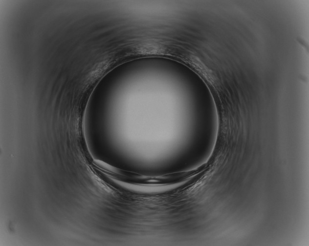 X0000095540441200712141528