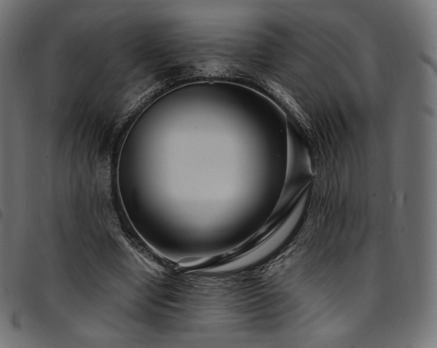 X0000095540442200712141528