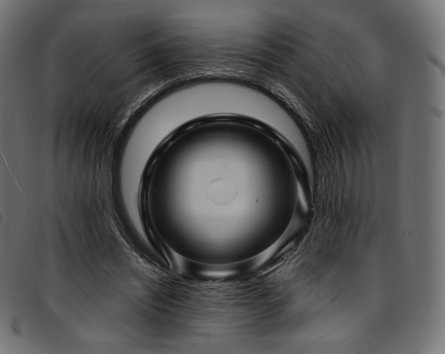 X0000095540444200712141528