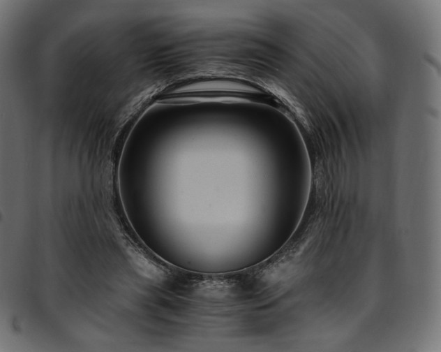 X0000095540445200712141528