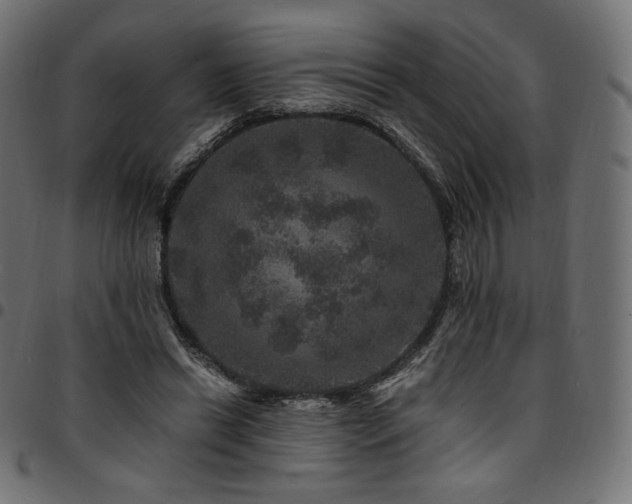 X0000095540446200712141528