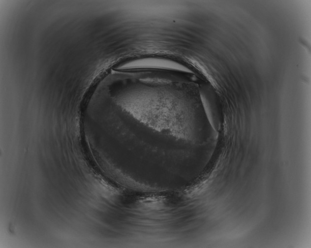 X0000095540447200712141528