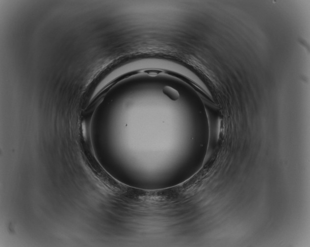 X0000095540448200712141528