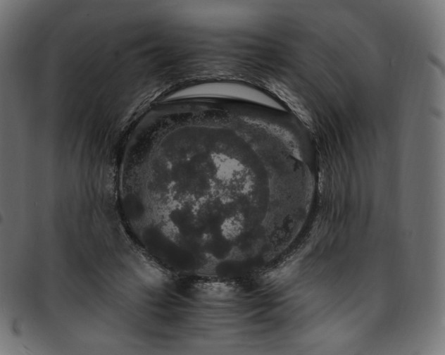 X0000095540449200712141528