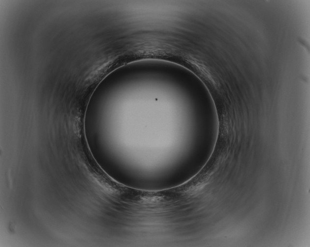 X0000095540450200712141528