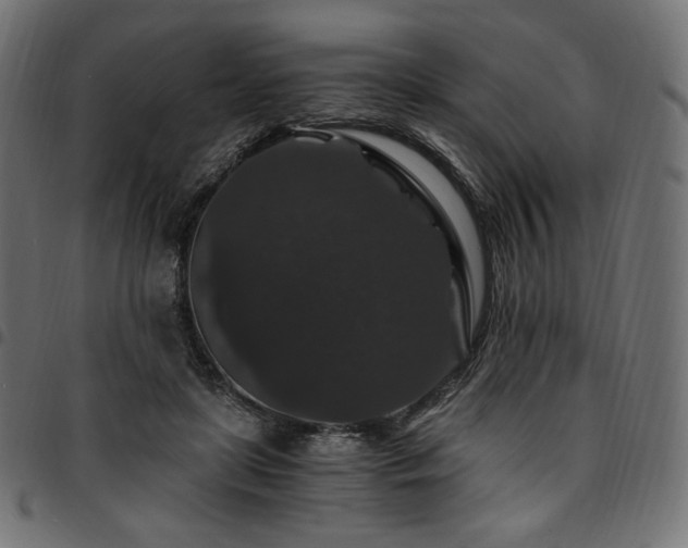 X0000095540451200712141528