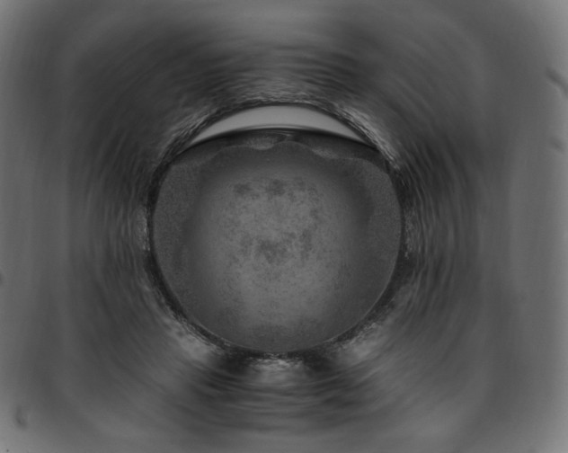 X0000095540453200712141528