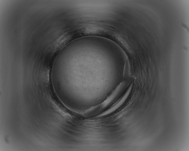 X0000095540454200712141528