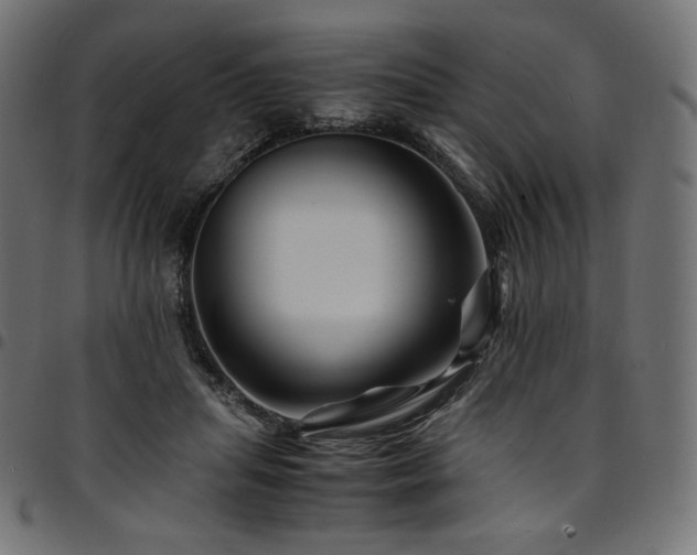 X0000095540455200712141528