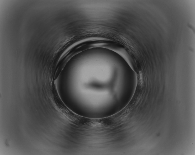 X0000095540456200712141528