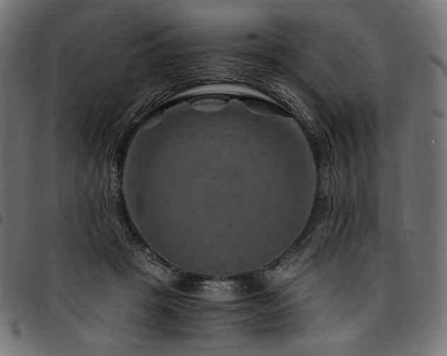 X0000095540457200712141528