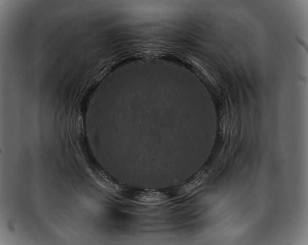 X0000095540459200712141528