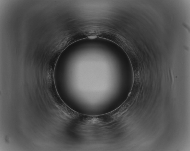 X0000095540460200712141528