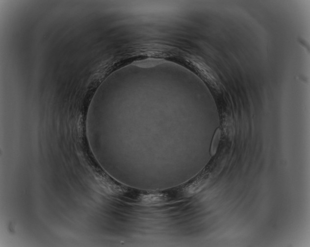 X0000095540461200712141528