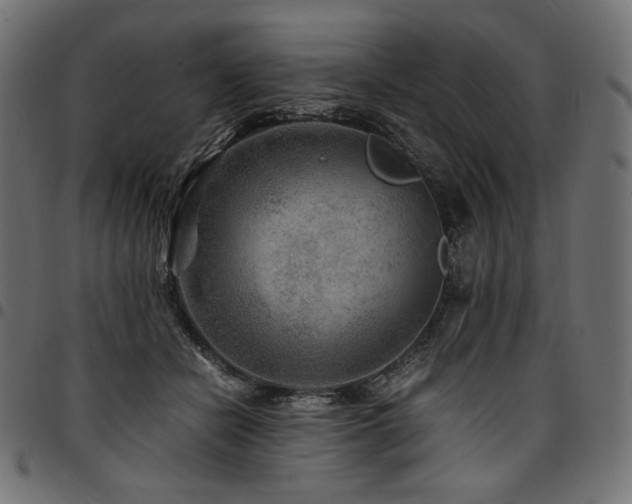 X0000095540462200712141528