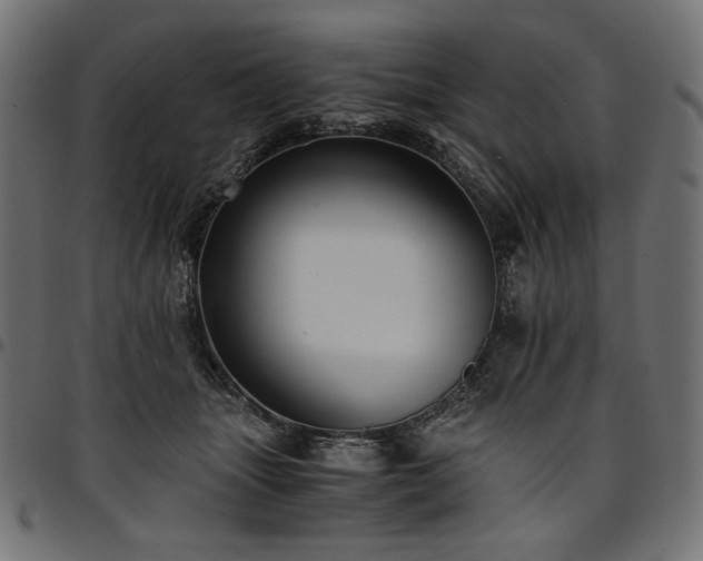 X0000095540463200712141528