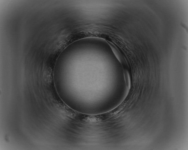 X0000095540464200712141528