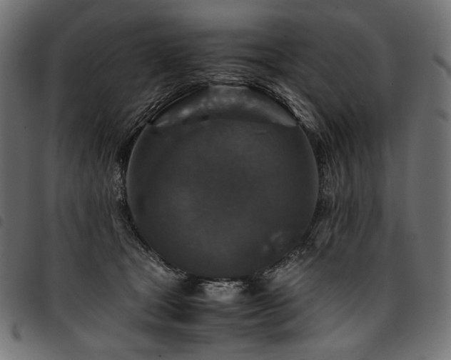 X0000095540465200712141528