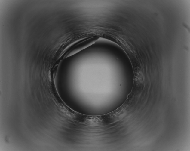 X0000095540466200712141528