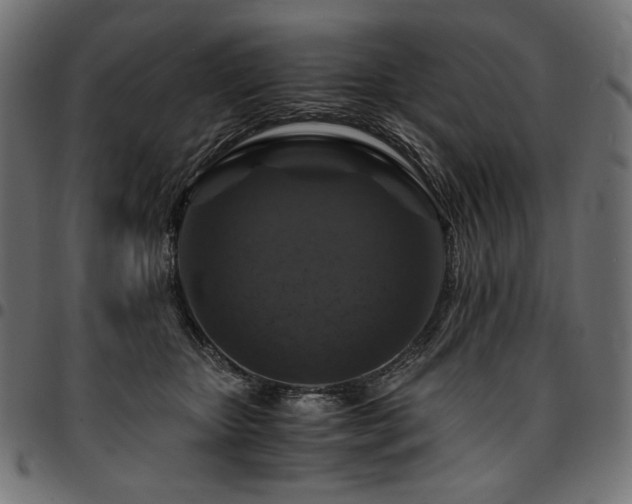 X0000095540467200712141528