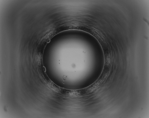 X0000095540468200712141528