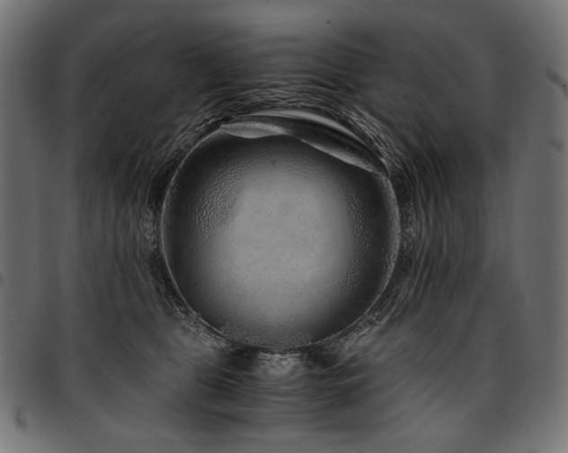 X0000095540469200712141528