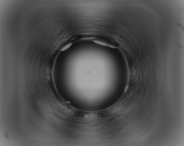 X0000095540470200712141528