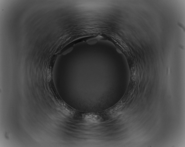 X0000095540471200712141528