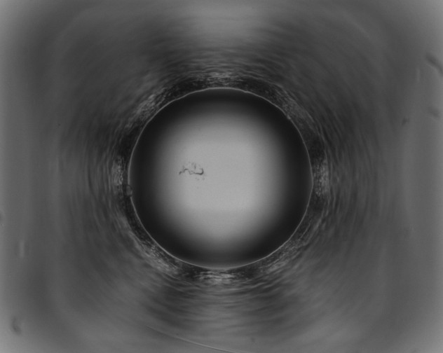 X0000095540472200712141528