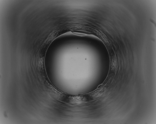 X0000095540473200712141528