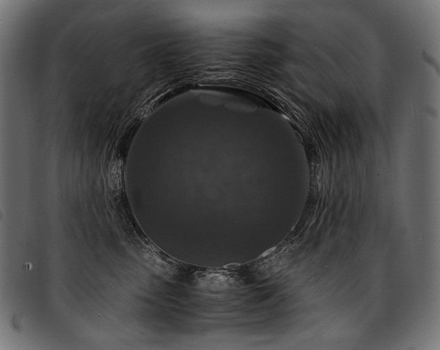 X0000095540475200712141528