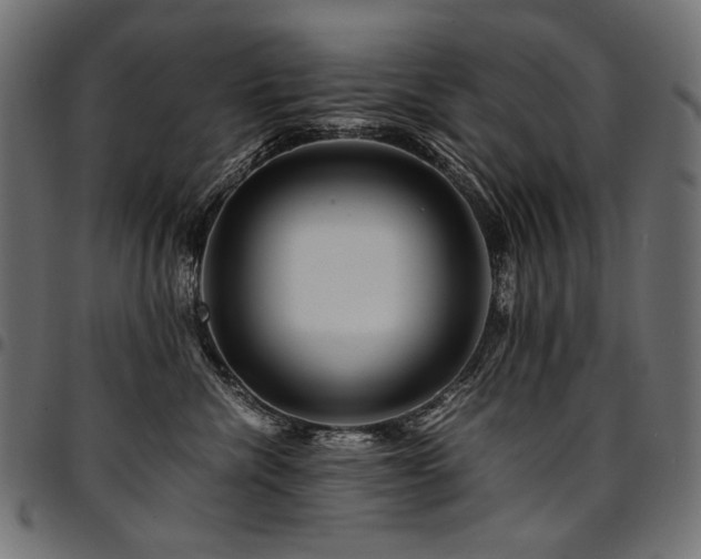 X0000095540476200712141528