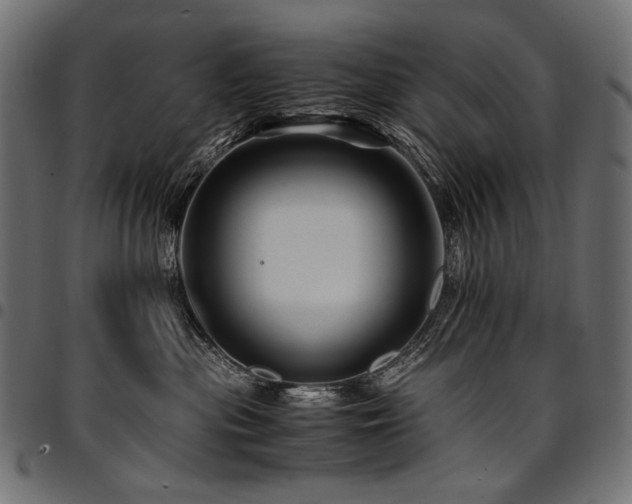 X0000095540477200712141528