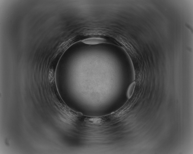 X0000095540478200712141528