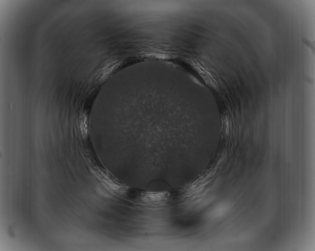 X0000095540479200712141529