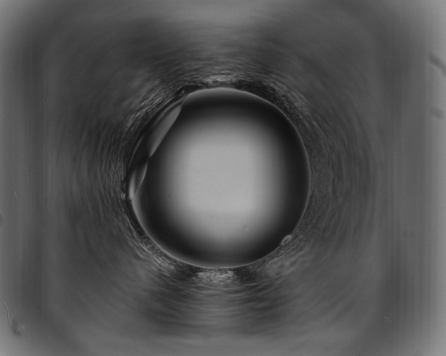 X0000095540480200712141529