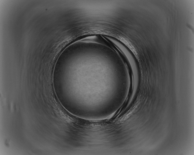 X0000095540481200712141528